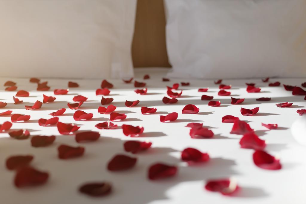 Privilege Double Room Romantic,62506639:JPEG